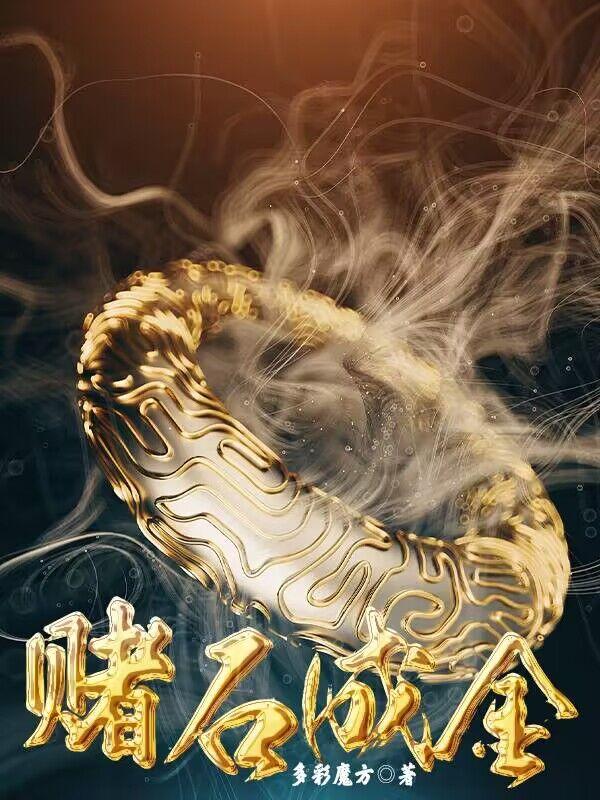 赌石金瞳全文阅读赌石金瞳