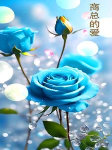 商总简介