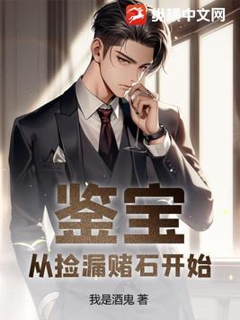 鉴宝从捡漏赌石开始TXT下载