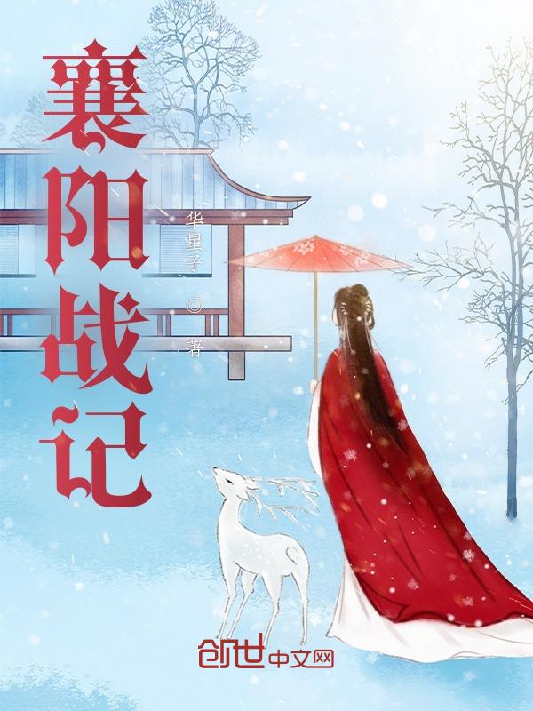 襄阳战记襄阳战记