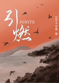 引燃cd很短