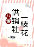 八零供销社一枝花在线阅读